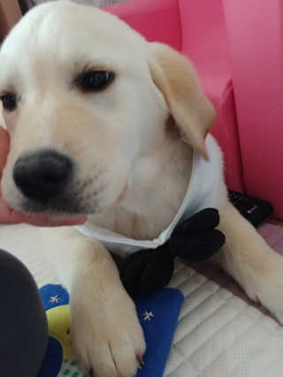 하은영님이 올린 리뷰 사진 2