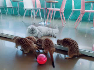 gkgkgk님이 올린 리뷰 사진 2