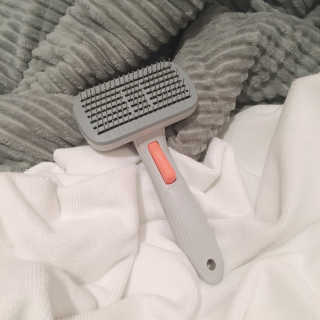 백설님이 올린 리뷰 사진 2