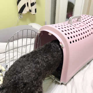 마카뇽님이 올린 리뷰 사진 3