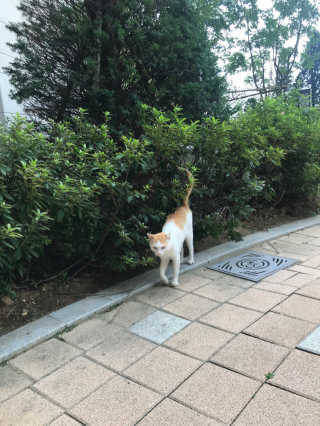 anna님이 올린 리뷰 사진 3