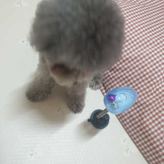 4또러버님이 올린 리뷰 사진 4