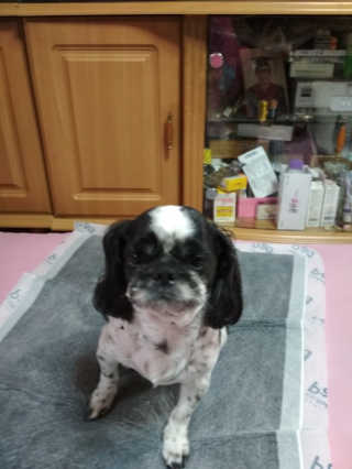 티케님이 올린 리뷰 사진 1