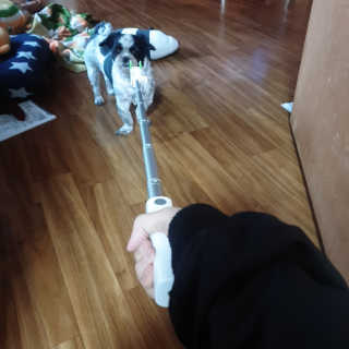 가횽님이 올린 리뷰 사진 2