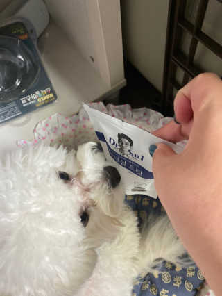 hyoju님이 올린 리뷰 사진 3