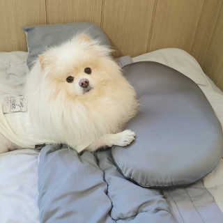 치리짱님이 올린 리뷰 사진 1