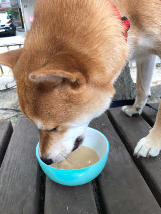 럽녜님이 올린 리뷰 사진 1