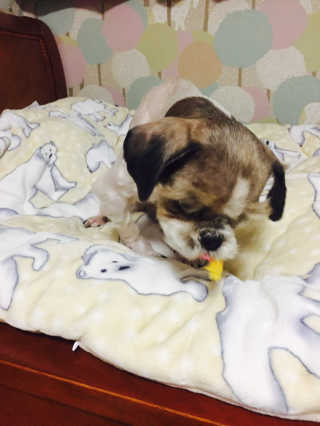 김주희님이 올린 리뷰 사진 3