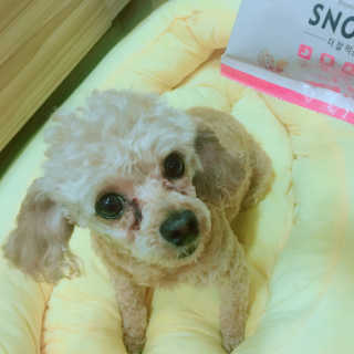 랑이님이 올린 리뷰 사진 1