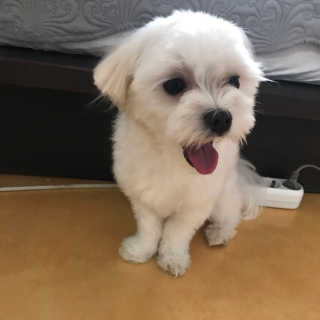 박성령님이 올린 리뷰 사진 1