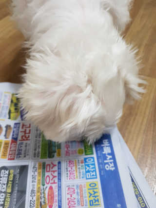 seri님이 올린 리뷰 사진 2