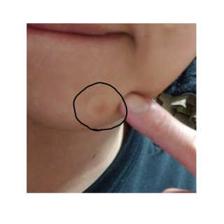 yashika님이 올린 리뷰 사진 4