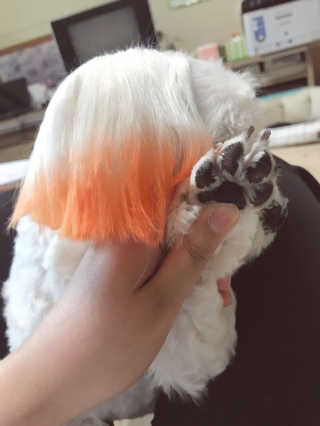 성희님이 올린 리뷰 사진 4