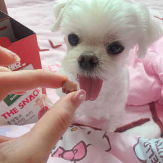 니코니코니님이 올린 리뷰 사진 2