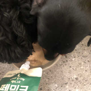[빙그레] 에버그로 생유산균 1봉（10포입）+펫밀크2팩 — 4점을 준 리뷰어가 2019년 3월 올린 사용 사진