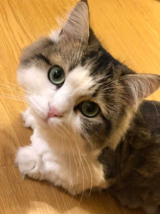라라쓰님이 올린 리뷰 사진 2