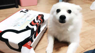 진진님이 올린 리뷰 사진 1