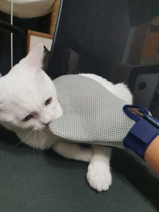 옹님이 올린 리뷰 사진 2
