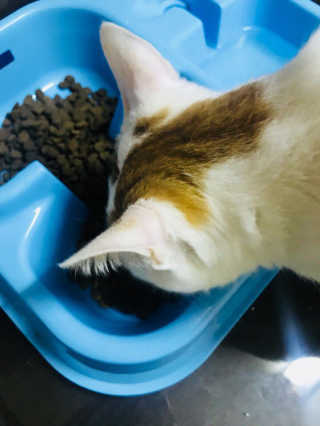 하씨님이 올린 리뷰 사진 2