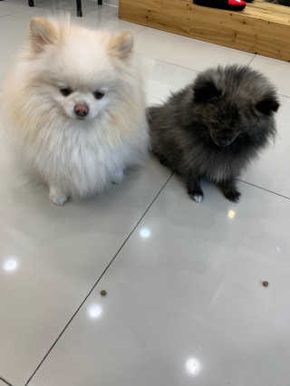 다옹쓰님이 올린 리뷰 사진 4