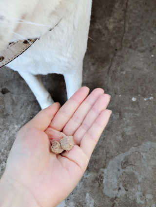 꿀님이 올린 리뷰 사진 3