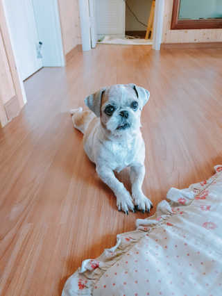 손채현님이 올린 리뷰 사진 1