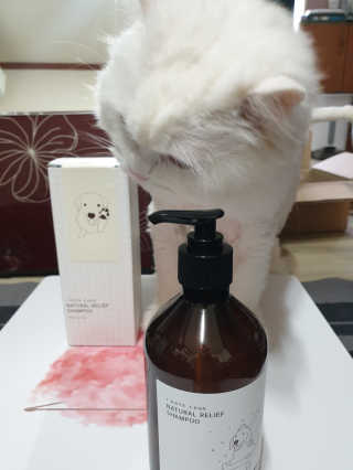 Woo7C님이 올린 리뷰 사진 2