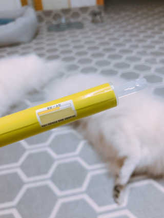 제인님이 올린 리뷰 사진 2