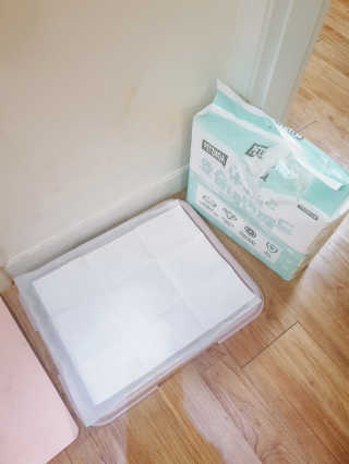 페츠모아 냄새잡는 요술배변패드 — 4점을 준 리뷰어가 2020년 2월 올린 사용 사진
