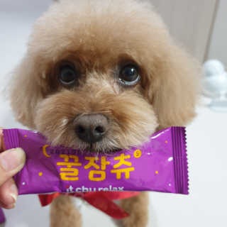 썰뇽님이 올린 리뷰 사진 2