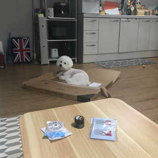 소원님이 올린 리뷰 사진 4