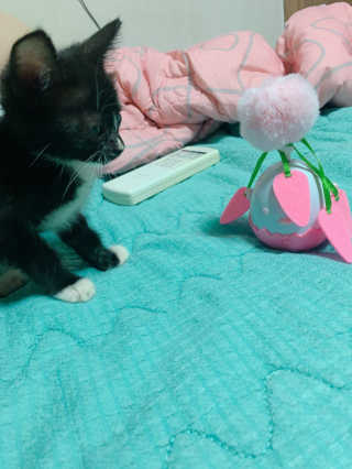 랑이님이 올린 리뷰 사진 2
