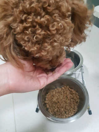 또리링님이 올린 리뷰 사진 2