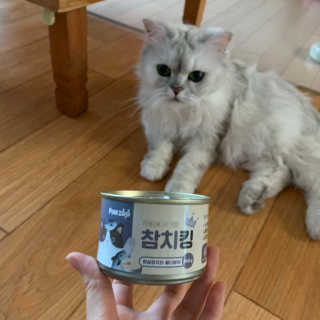 다조이님이 올린 리뷰 사진 2