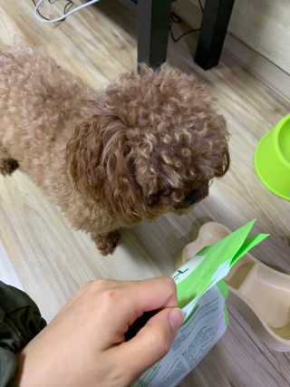 띵구리님이 올린 리뷰 사진 2