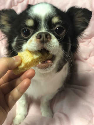 띠띠님이 올린 리뷰 사진 1