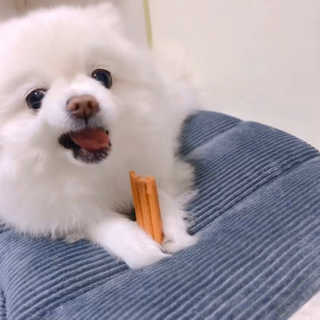 요지님이 올린 리뷰 사진 4