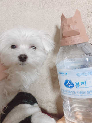 새초미님이 올린 리뷰 사진 4