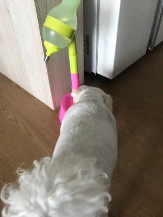 MiSeonSoraKim님이 올린 리뷰 사진 2