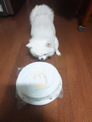 퀸민님이 올린 리뷰 사진 1