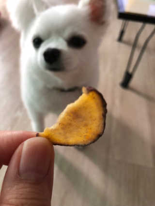 박쟈님이 올린 리뷰 사진 2