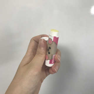 더블리스풀독 샤이니 포우 버터 0.15oz [천연 발바닥 보호제] — 3.67점을 준 리뷰어가 2018년 7월 올린 사용 사진