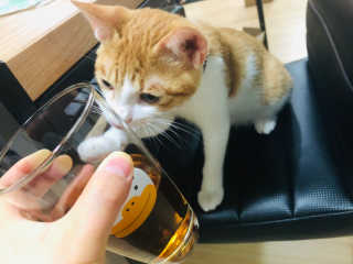 JihyeCheong님이 올린 리뷰 사진 2