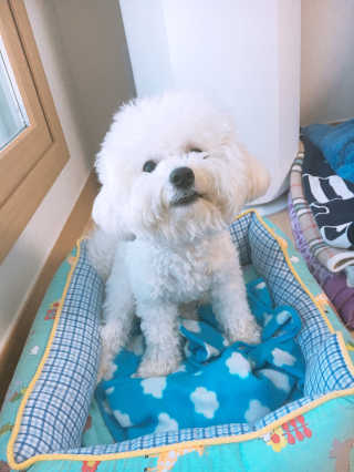 sooing님이 올린 리뷰 사진 4