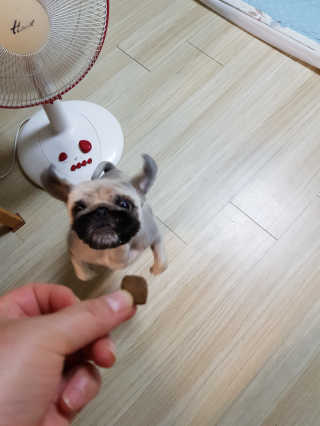 류혜미님이 올린 리뷰 사진 3
