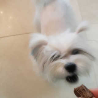 loveskyboom님이 올린 리뷰 사진 3