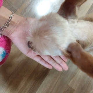 한별님이 올린 리뷰 사진 2