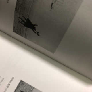 하나수님이 올린 리뷰 사진 2