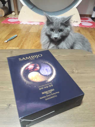 빵희님이 올린 리뷰 사진 1
