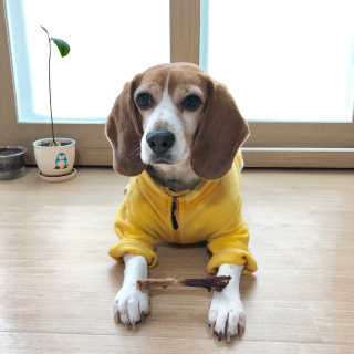동희님이 올린 리뷰 사진 1